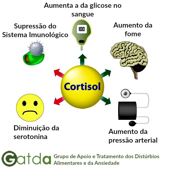 cortisol2